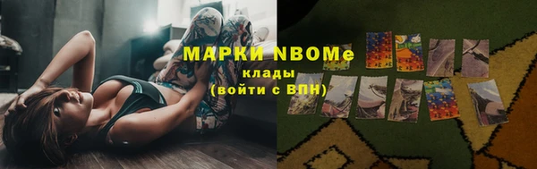 стафф Заволжье