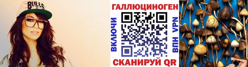 Купить  Питкяранта  Галлюциногенные грибы MAGIC MUSHROOMS 